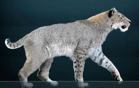 7 Incredible Prehistoric Predators That Hunted Across Ancient America ...