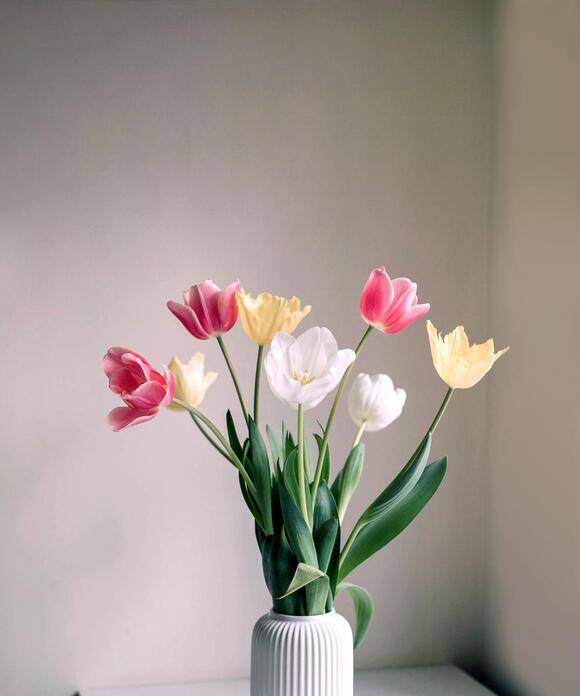 How to care for tulips in a vase and prevent them from drooping