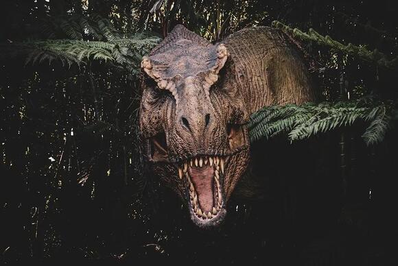 Decoding Dinosaur Sounds: What We Know About Their Ancient Roars ...