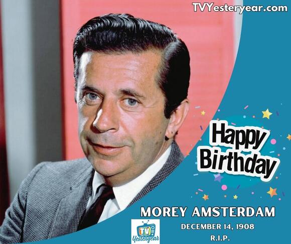 In Memory of Morey 'Dick Van Dyke Show' Amsterdam - 'The Human Joke ...