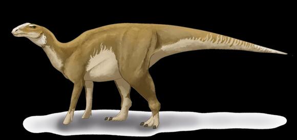 did-we-misidentify-dozens-of-dinosaur-species-newsbreak