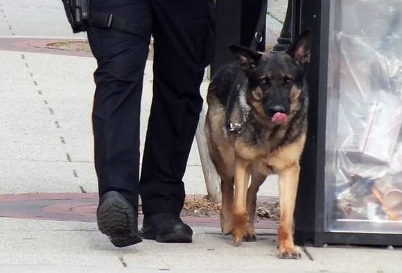 UPDATE: 'Jilted Boyfriend' Bomb Threat Unfounded At Ridgewood High ...