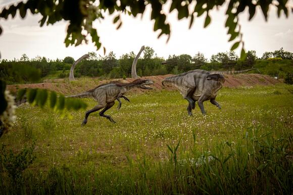 Utahraptor The Raptor That Was Bigger and Scarier Than We Thought ...