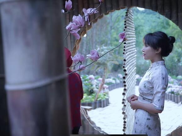 Li Ziqi is back! Popular Chinese farm life influencer returns after ...