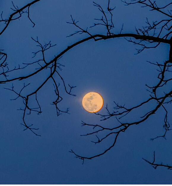 Full Hunter’s Moon Will Brighten October Skies: When To Watch - NewsBreak