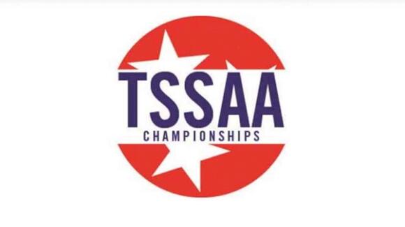 2026 TSSAA Wrestling State Championships - Division II - NewsBreak