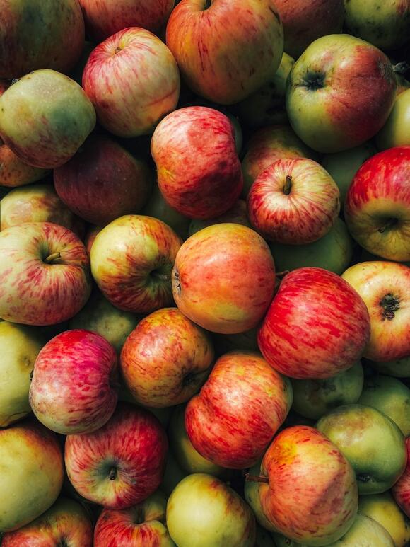 Apple Picking in Milwaukee: What’s Ripe, What’s Coming & Where to Go ...
