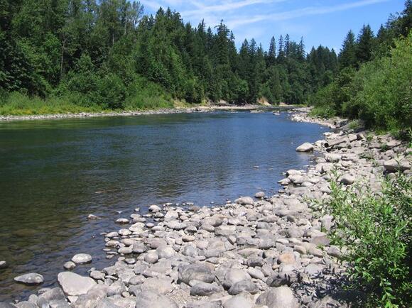 Free Days At Oregon State Parks Christmas 2022 Park For Free At State Parks On New Year's Day - Newsbreak