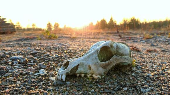 20 Times the World Almost Ended - NewsBreak