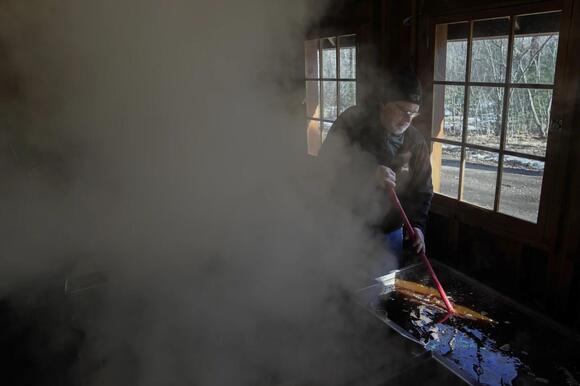 Maple syrup season came weeks early in the Midwest. Producers are doing ...