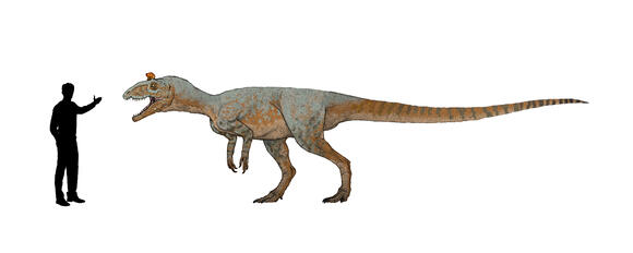 Cryolophosaurus: The Antarctic Carnivore With a Fancy Head Crest ...