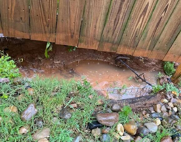 Homeowner distraught after discovering neighbor's yard issue impacting ...