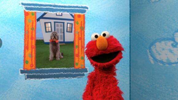 Fox News Mocked for Reaction to ‘Sesame Street’ Where Elmo Learns ...
