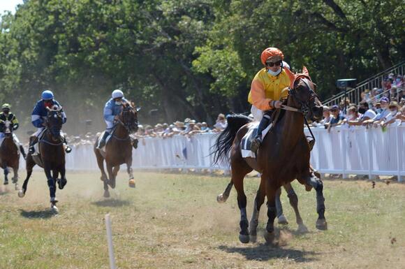 Why Every Racehorse Shares the Same Official Birthday - NewsBreak