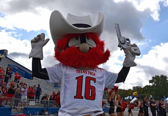 Meet The Iconic Live Animal Mascots Of College Football - NewsBreak