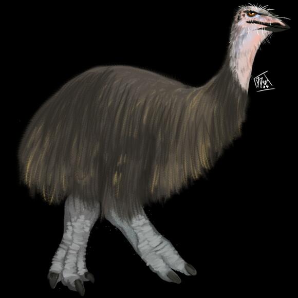 After the asteroid, the earliest bird ancestors thrived in Antarctica ...