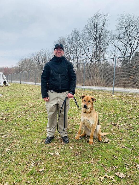PHOTOS: Check Out New York State's First Police Dogs - NewsBreak
