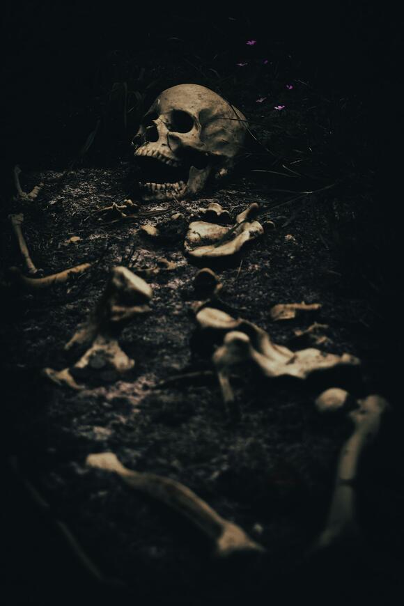 How Long Do Bones Last Before They Break Down Completely? - NewsBreak
