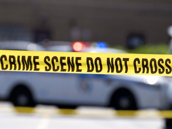 Sevierville Bear Attack: Man'S Self Defense Claim Under Investigation - 524bzg0