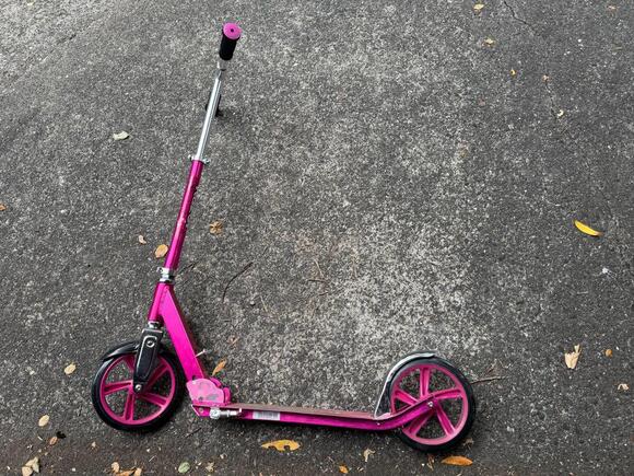 🎁 Freebies Up for Grabs in Mill Valley Today - NewsBreak