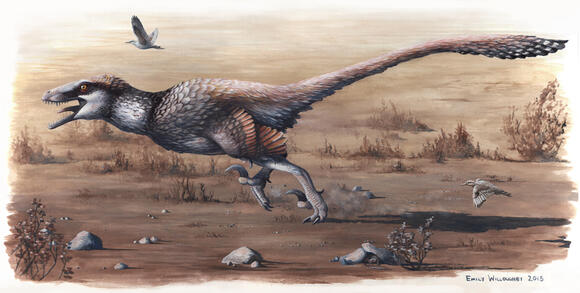 The Top 5 Deadliest Raptors That Could Even Face Off With a T Rex ...