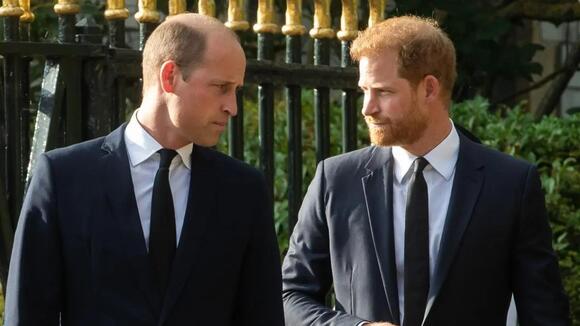 Prince Harry ‘Desperate’ To Get Prince William's Attention -- Expert
