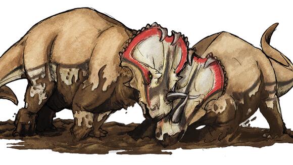 10 Surprising Discoveries About Dinosaur Behavior That Will Astound You ...