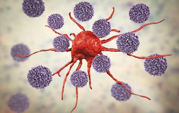 TNGX Stock Falls 16% Despite Positive Pancreatic Cancer Study Data ...