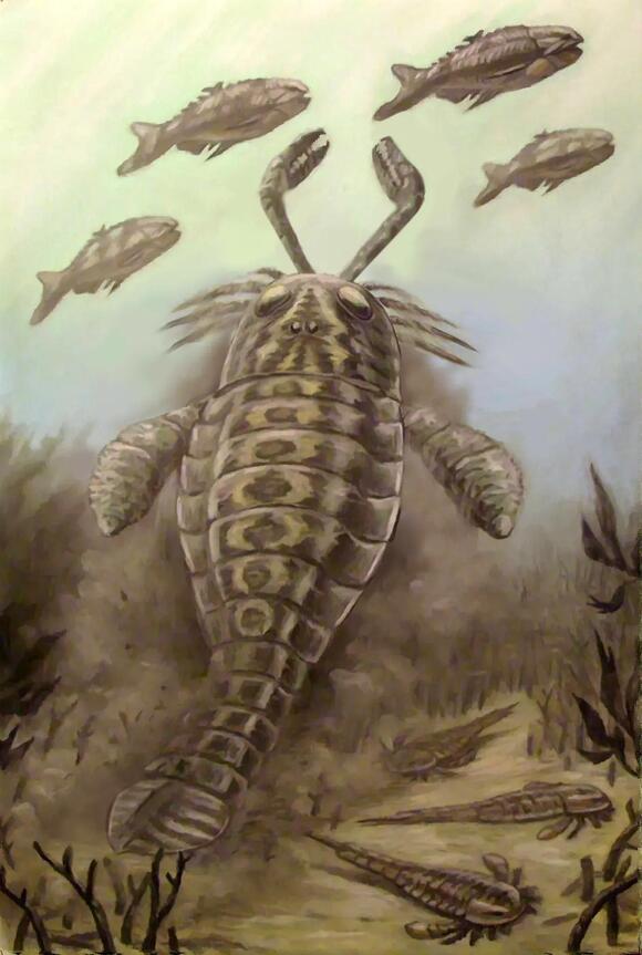 Beyond the Dinosaurs: Earth’s Most Terrifying Predators That Ruled ...