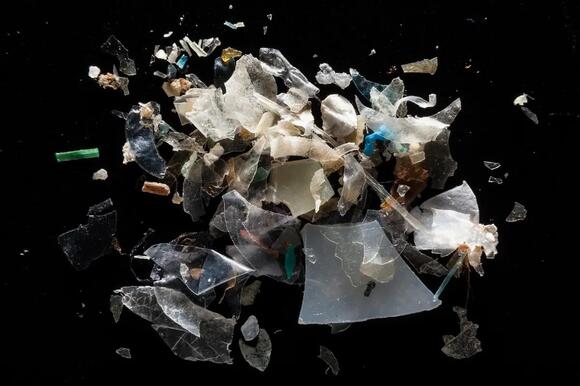 Industry Knew for Decades That Microplastics Could Infiltrate Human ...