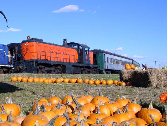 Pumpkins and Trains: Danbury’s Pumpkin Patch Ride Is Here - NewsBreak