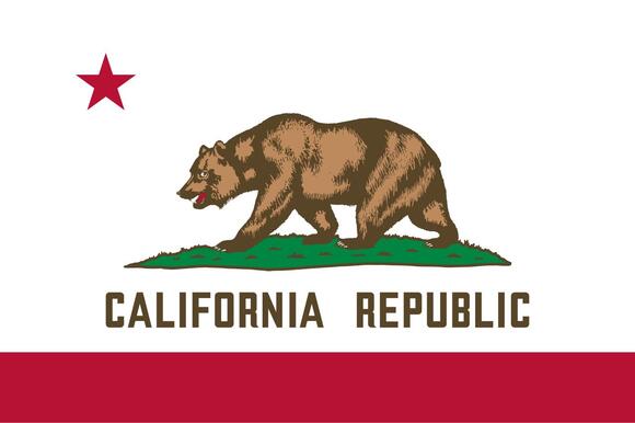 California Finds Major Errors in Trump Administration's Noncitizen Voter List