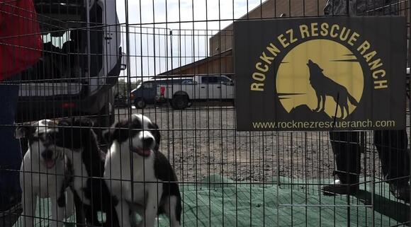 Madras Grocery Outlet hosts ‘adoption spree’ for Rockn EZ Rescue Ranch ...