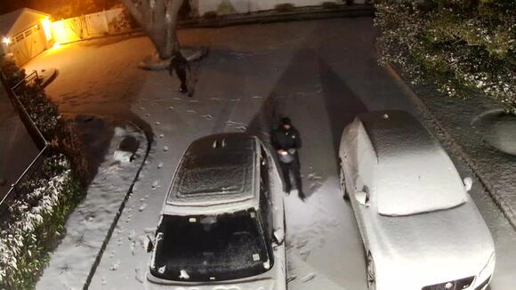 EXCLUSIVE: Home invasion caught on camera leads to high-speed police ...