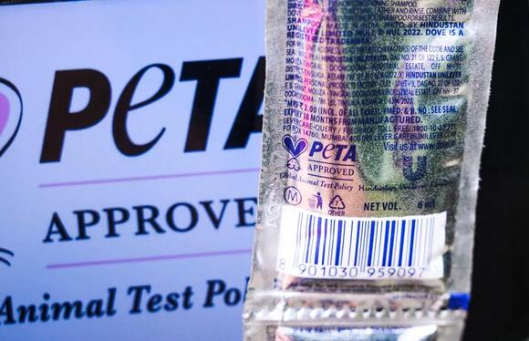 PETA Proposes Birth Control for Philadelphia Rats Amid Growing Rodent ...