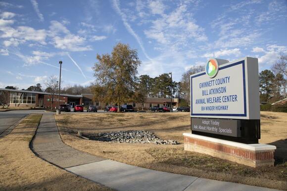 Gwinnett County to offer free pet vaccine clinics starting this month ...