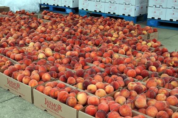 Rome Kiwanis Taking Peach Orders Through Sunday - NewsBreak