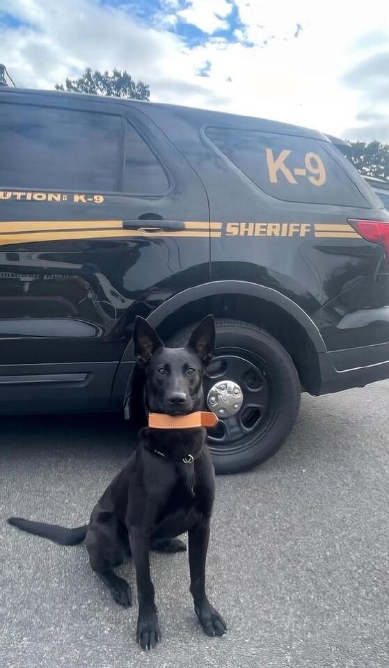 Atlantic County Sheriff's Office K9s looking for names