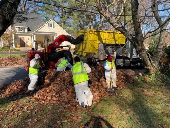 Leaf Vacuum Collection Begins Monday, Nov. 9 in Designated Areas of ...