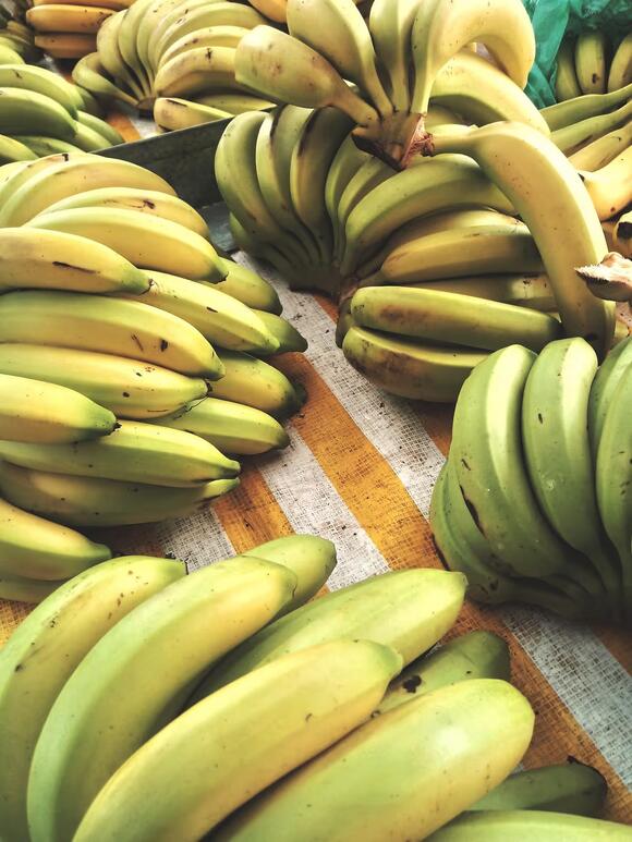 Bananas can make other fruit ripen faster, and the science is ...