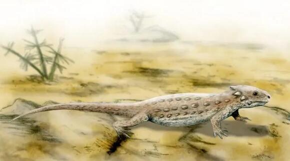 The Triassic Period: Where Dinosaurs First Began Their Reign on Earth ...