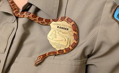 📅 Snake craft & ambassador snake program at Powhatan State Park - NewsBreak