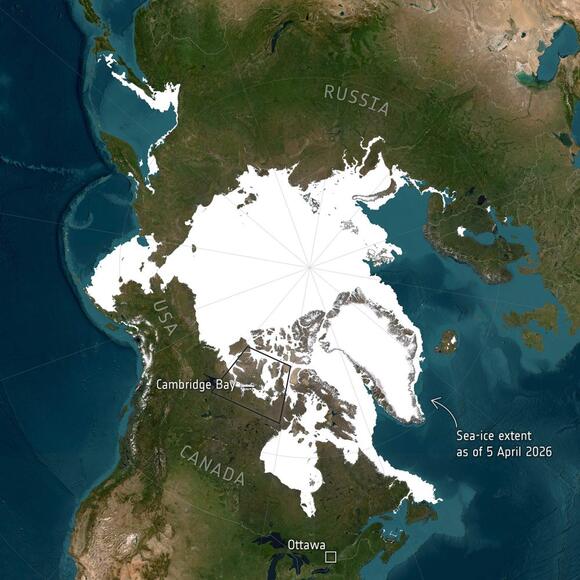 Arctic sea ice shrinks to second consecutive record low in 2026 - NewsBreak
