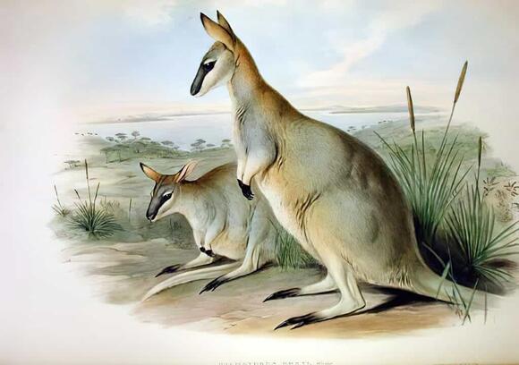 Cute Extinct Animals - NewsBreak