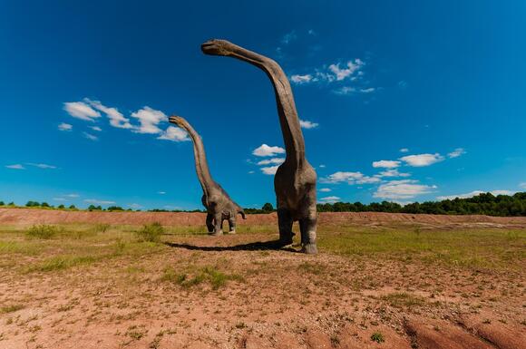 8-sauropods-that-stretched-the-limits-of-life-on-land-newsbreak