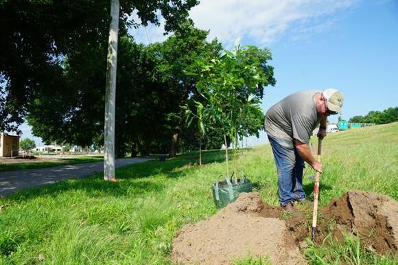 240 trees to be planted along Katy Trail - NewsBreak