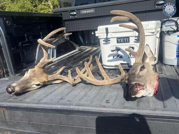 Texas Game Wardens Uncover Poaching Spree Resulting in 74 Charges ...
