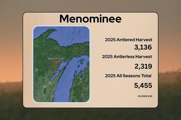 Michigan 2025 Deer Harvest Report: 83 County Breakdown - NewsBreak