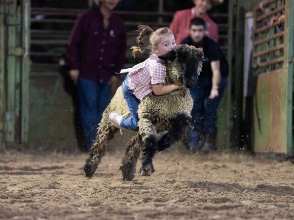 Spring Stampede coming to Cowboys in Scott March 27-28 - NewsBreak