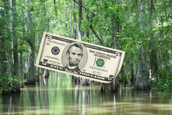 Louisiana Wildlife Grants New Privilege to Senior Deer Hunters - NewsBreak